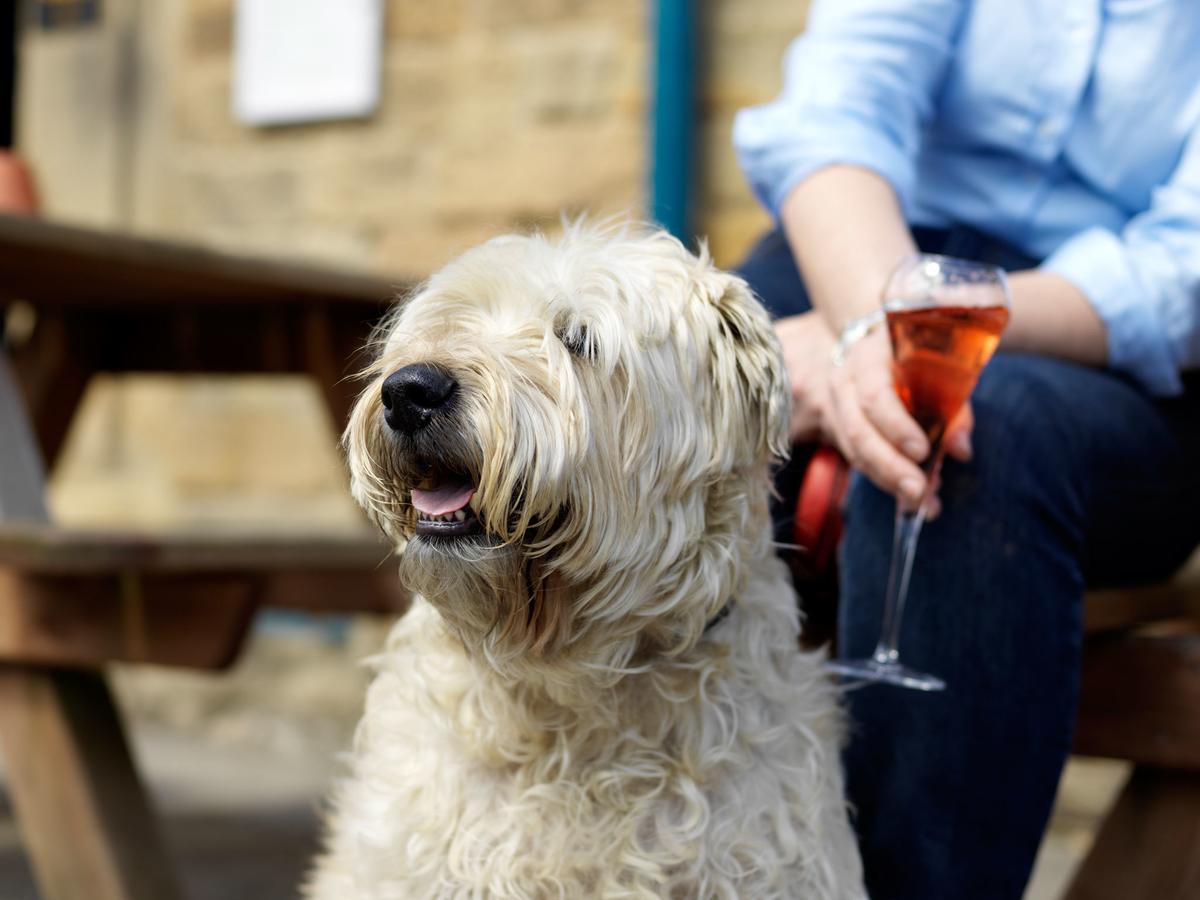 The Pilsley Inn - Chatsworth Baslow Ngoại thất bức ảnh